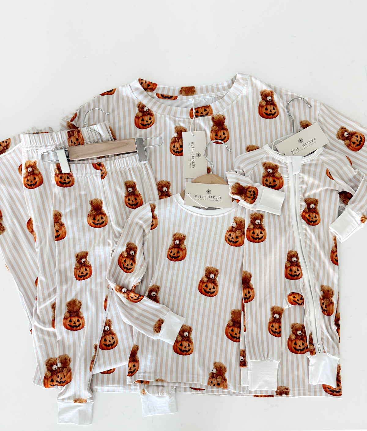 Teddy Pumpkin | Zippie